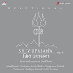 Shiv Upasana, Vol. 4 - Janiva Roy Song Download